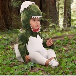 Pottery Barn Baby Green Dinosaur Egg Costume